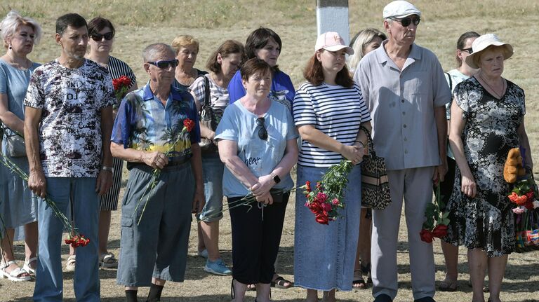 Нидерландский журналист счел решение ИКАО по MH17 попыткой очернить Россию