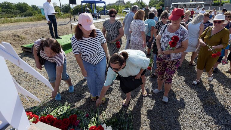 Нидерландский журналист счел решение ИКАО по MH17 попыткой очернить Россию