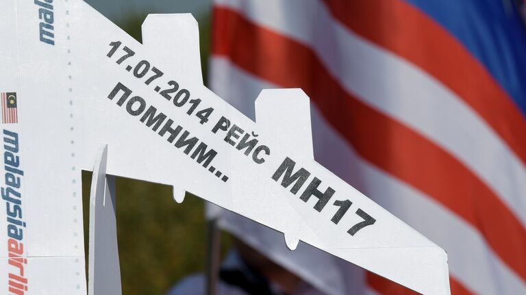 Нидерландский журналист счел решение ИКАО по MH17 попыткой очернить Россию