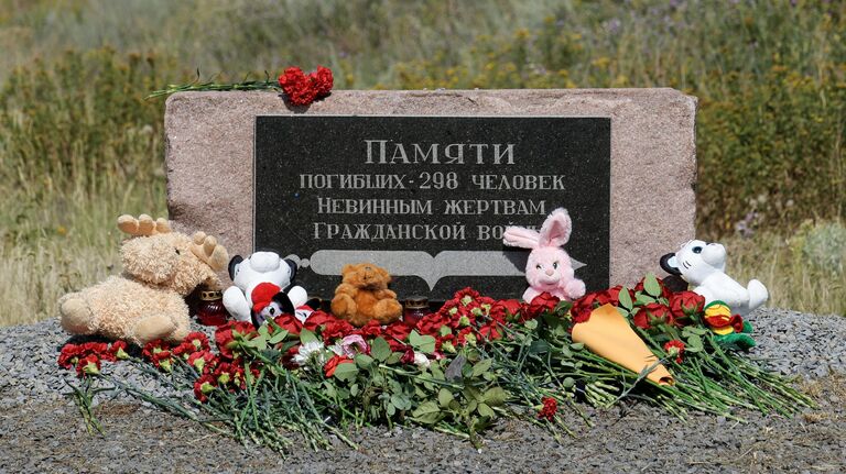 Нидерландский журналист счел решение ИКАО по MH17 попыткой очернить Россию