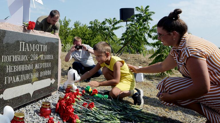 Нидерландский журналист счел решение ИКАО по MH17 попыткой очернить Россию