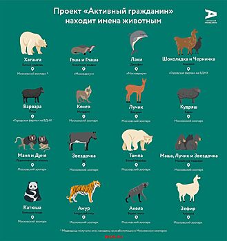 Детенышу западной равнинной гориллы в Московском зоопарке выбрали имя