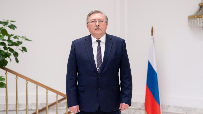  Постоянный представитель Российской Федерации при международных организациях в Вене Михаил Ульянов