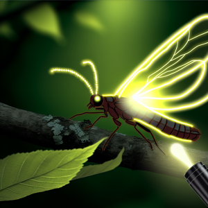 Firefly