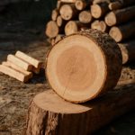 Древесные акценты для уверенной резьбы