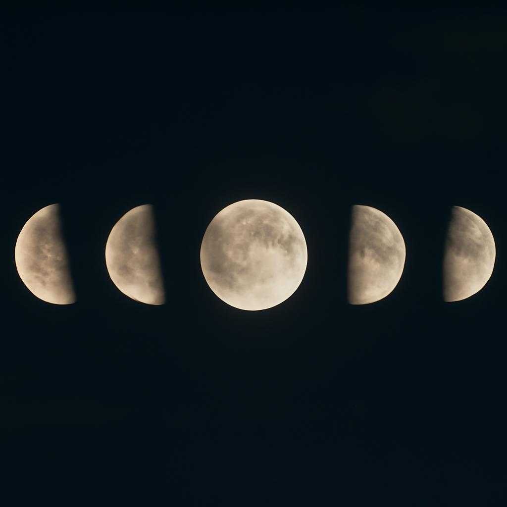 лунный цикл