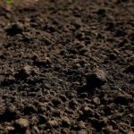 Грунт: сцена подводной драмы