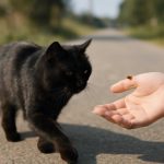 Легенды крыльев и хитина: сигналы насекомых в народных приметах