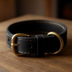 Ошейник, родившийся за час: репортаж из мастерской