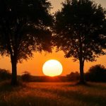 Летнее солнцестояние: хроника предела света