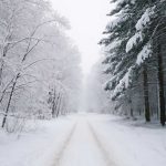 Зимние подсказки каждому знаку: готовимся до конца ноября