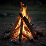 Костёр под контролем: путеводитель лесного репортёра