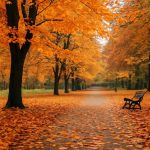 Осень — хроника тихого колдовства