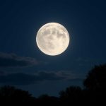 Полнолуние в близнецах: трафик света и данных