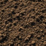 Почвенный код: минералы, гумус, антресоли