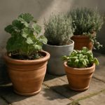 Городские джунгли: вазон как медиатор пространства