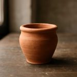 Горшок как сюжет экосистемы подоконника