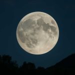 Лунный свет и невидимый метроном ночи