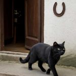 Примерная карта свадебной судьбы