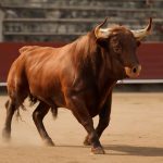 Wild toro: хроники испанской фиесты