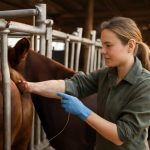 Фемида в хлеву: приговоры петухам и свиньям