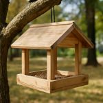 Кормушка для белки своими руками: практичный проект для сада и парка