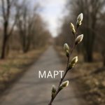 Мартовский характер: тихая интуиция и резкий импульс действия