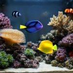 Морской аквариум: тонкая инженерия живого рифа и его завораживающая пластика