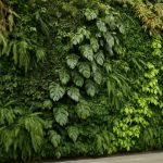 Вертикальный сад: живая стена для крошечной квартиры