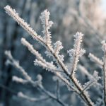 Три обряда на изморозь для денежного движения