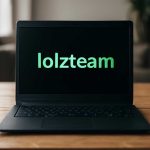 Lolzteam market под лупой покупателя