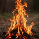 Огонь как соседняя биология: репортаж о форме жизни без клеток