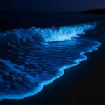 Почему кильватер светится молочным огнем