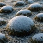 Почему на кочках в оттепель появляется ледяная корка