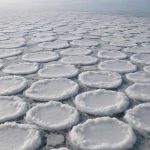 Почему в морях возникают ледяные блинчатые поля