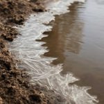 Почему по краям луж вырастают ледяные корки в мороз