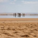 Почему лунная дорожка стала заметнее наблюдателям в разных странах