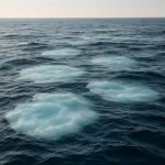 Откуда в море берутся пятна холодной воды