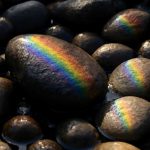 Почему мокрые камни переливаются радужной скользкой пленкой