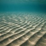 Почему на морском дне возникают ровные ряды ряби
