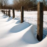 Почему у низких изгородей зимой нарастают снежные переметы