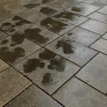 Почему на каменных плитах после дождя появляются темные пятна