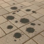 Почему после оттепели на тротуарной плитке проступают темные пятна