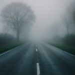 Почему лес иногда окутывает туман замерзающих деревьев
