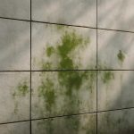 Почему на влажных фасадных плитах выступают зеленоватые пятна