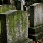 Почему на гранитных памятниках появляется зеленый налёт