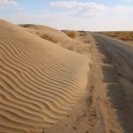 Почему вдоль заброшенных дорог вырастают зернистые барханы