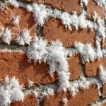 Белые кристаллы на кирпичных стенах после снега и их причины