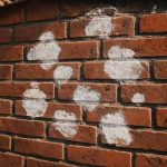 Почему на кирпичных заборах после дождя появляются белые пятна