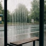 Почему на стеклянных остановках после дождя появляются потеки